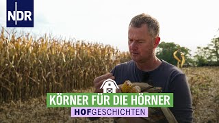 Der Mais muss rein  Hofgeschichten Leben auf dem Land 304  NDR [upl. by Samala564]