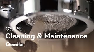 G3005E Espresso Machine｜Cleaning amp Maintenance｜Gemilai [upl. by Pik495]