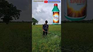 roundup speed herbicide का इस्तेमाल [upl. by Enelloc]