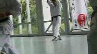 Kawasoe Masao Sensei 8Dan Kata unsu 雲手 [upl. by Yedorb43]