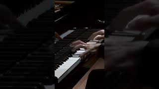 Chopin Ballade No 1 310 [upl. by Darrill40]