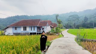 Jiwa Mudiku Bergejolak Ingin Pulang Kekampung HalamanInilah Kampung Asri Tasikmalaya Jawabarat [upl. by Llechtim]