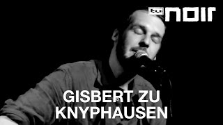 Gisbert zu Knyphausen  Kräne live bei TV Noir [upl. by Esnofla]