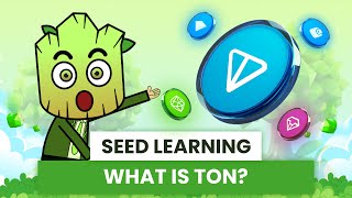 What is TON Blockchain Simply explained for Beginners  SEED Learning 6 [upl. by Durning]