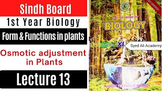 osmotic adjustment in plants  halophytes  hydrophytes  mesophytes  xerophyte  plant forms [upl. by Naashar337]