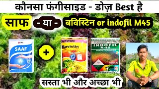 saff fungicides vs indofil m45  कौनसा फूँगीसाइड कॉम्बिनेशन सबसे अच्छा [upl. by Aikehs]