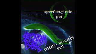 Strontium Dog  VOCAL COVER Pet by A Perfect Circle MORE VOCALS VERSION [upl. by Enala]