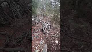 Stone Circles by the Bigfoot Teepee in the Ancient Ruins ancientruins archaeology teepee [upl. by Enrichetta833]