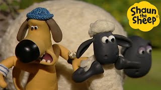 Shaun the Sheep 🐑 Funky Shaun  Cartoons for Kids 🐑 Full Episodes Compilation 1 hour [upl. by Kenimod]