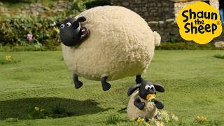 Can Sheep Fly 🐑 Shaun the Sheep  Cartoons for Kids 🐑 Full Episodes Compilation 1 hour [upl. by Kcuhc]