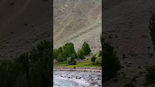 Hidden Gem Of GilgitBaltistan Astore Valley Chillam Chowki foryou [upl. by Zabrine]