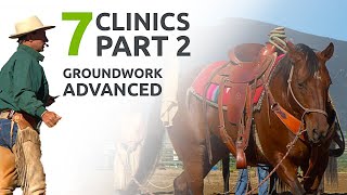 Advanced Groundwork Exercises  7 Clinics with Buck Brannaman  wehorse [upl. by Donnie684]