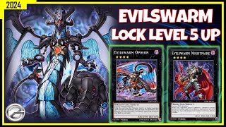 EVILSWARM DECK LOCK LEVEL 5 UP  ANDROID GAMEPLAY MAY 2024  YUGIOH DUEL LINKS [upl. by Yrek]