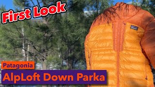 First Look At The Patagonia AlpLoft Down Parka [upl. by Corrianne]