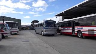 The 1961 GM PD4106 bus departing from Moonee Valley Coaches [upl. by Yrahk]