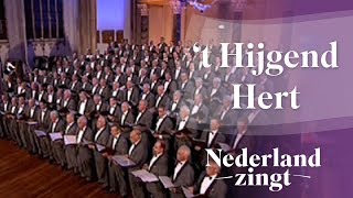 Nederland Zingt Psalm 42  t Hijgend Hert [upl. by Anwahs]