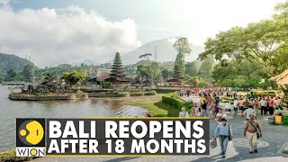 Indonesias top holiday destination Bali reopens to foreign tourists  English News  World News [upl. by Enyamert]