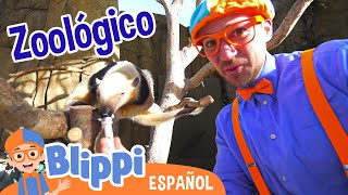 Blippi visita el zoológico y el acuario  Blippi Español  Videos educativos para niños [upl. by Dolora208]