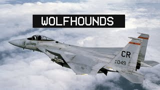 32ND TFS WOLFHOUNDS  Soesterberg [upl. by Origra588]