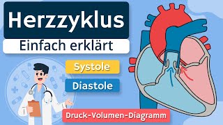 Herzzyklus  Systole Diastole und DruckVolumenDiagramm einfach erklärt [upl. by Hanad]