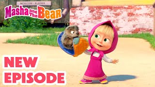 Masha and the Bear 2024 🎬 NEW EPISODE 🦔 My CutiePatootie 🥰 🎬 Best cartoon collection [upl. by Wilkinson]