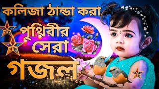 কলিজা ঠান্ডা করা সুরে পৃথিবীর সেরা গজল। New 2023 Bangla Gojol  SelimShikhon 2025 [upl. by Karsten]