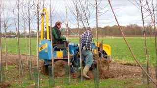 Bomen rooien bij boomkwekerij HJ van Dee [upl. by Ynettirb444]