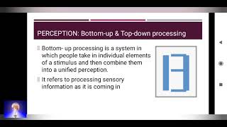 Perception  Bottom up and Topdown Processing [upl. by Allenaj]