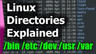 Linux File SystemStructure Explained [upl. by Lihcox]