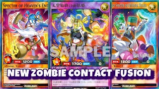 New Zombie Contact Fusion Details and thoughts  YUGIOH Rush Duel [upl. by Arrol736]