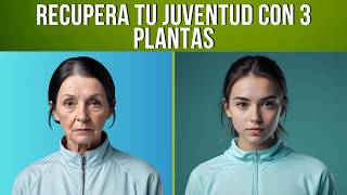 🥬 3 PLANTAS de la Juventud que te dan COLÁGENO y FAVORECEN tu PIEL [upl. by Carmine]