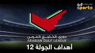 أهداف الجولة الـ12 من دوري الخليج العربي 20182019 [upl. by Alimaj]