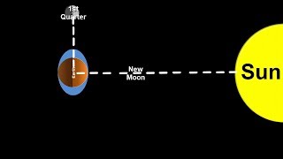 Space Science Tutorial Spring and Neap Tides [upl. by Olocin]