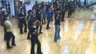 We No Speak Americano  Line Dance Demo amp Walk Through [upl. by Llekram]