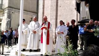 Festa san Pietro martire Andrano 1 e 2 giugno 2017 [upl. by Ennoirb]