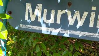 MURWILLUMBAHsave the railway from railtrail IVE BEEN EVERY WHERE MAN [upl. by Nylsej]