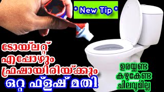 ഒഴിഞ്ഞ ടൂത്ത്പേസ്റ്റ് കവറുകൊണ്ട് Toilet എപ്പോഴും ഫ്രഷാക്കി വെയ്ക്കാംToilet cleaning tips Easy tips [upl. by Garretson758]