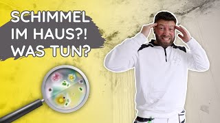 Schimmel an den Wänden was sollte ich tun [upl. by Pampuch911]