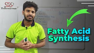 Fatty acid synthesis in bangla [upl. by Meyers]