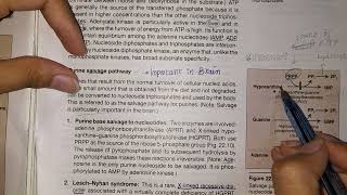 Purine Salvage Pathway Chapter 22 Part 3 Biochemistry Lippincott [upl. by Lehcor]