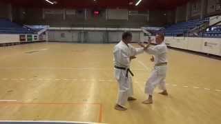 Heian Nidan  Kata Kumite [upl. by Camey]