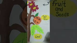 parts of a plant educationfor kindergarten students [upl. by Norling148]