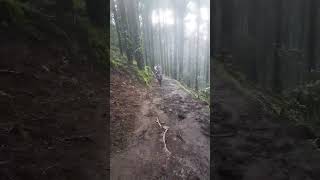 Riding in the woods rider trending viralvideo youtubeshorts [upl. by Mencher]