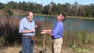 Planting Bare Root Trees  Pecan and Maple [upl. by Ahseiyk]