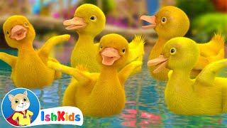 Five Little Ducks  Nursery Rhymes amp Kids Songs  IshKids [upl. by Kristie589]