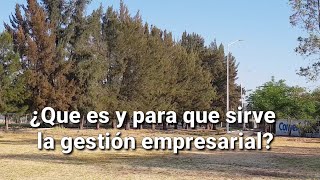 ¿Qué es y para que sirve la gestión empresarial [upl. by Longo210]