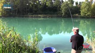 Pesca con la bolognese sul fiume Mincio [upl. by Esertal]