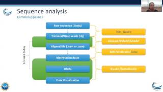 Webinar Epigenetics Part I – Bisulfite Sequence Analysis and Adenosine to Inosine Modifications [upl. by Charlene409]