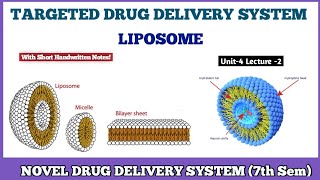 LIPOSOME  Targeted Drug Delivery System TDDS  Novel Drug Delivery System 7th semester [upl. by Adnuhsat]