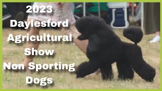 2023 Daylesford Agricultural Show  Non Sporting Dogs [upl. by Enneicul357]